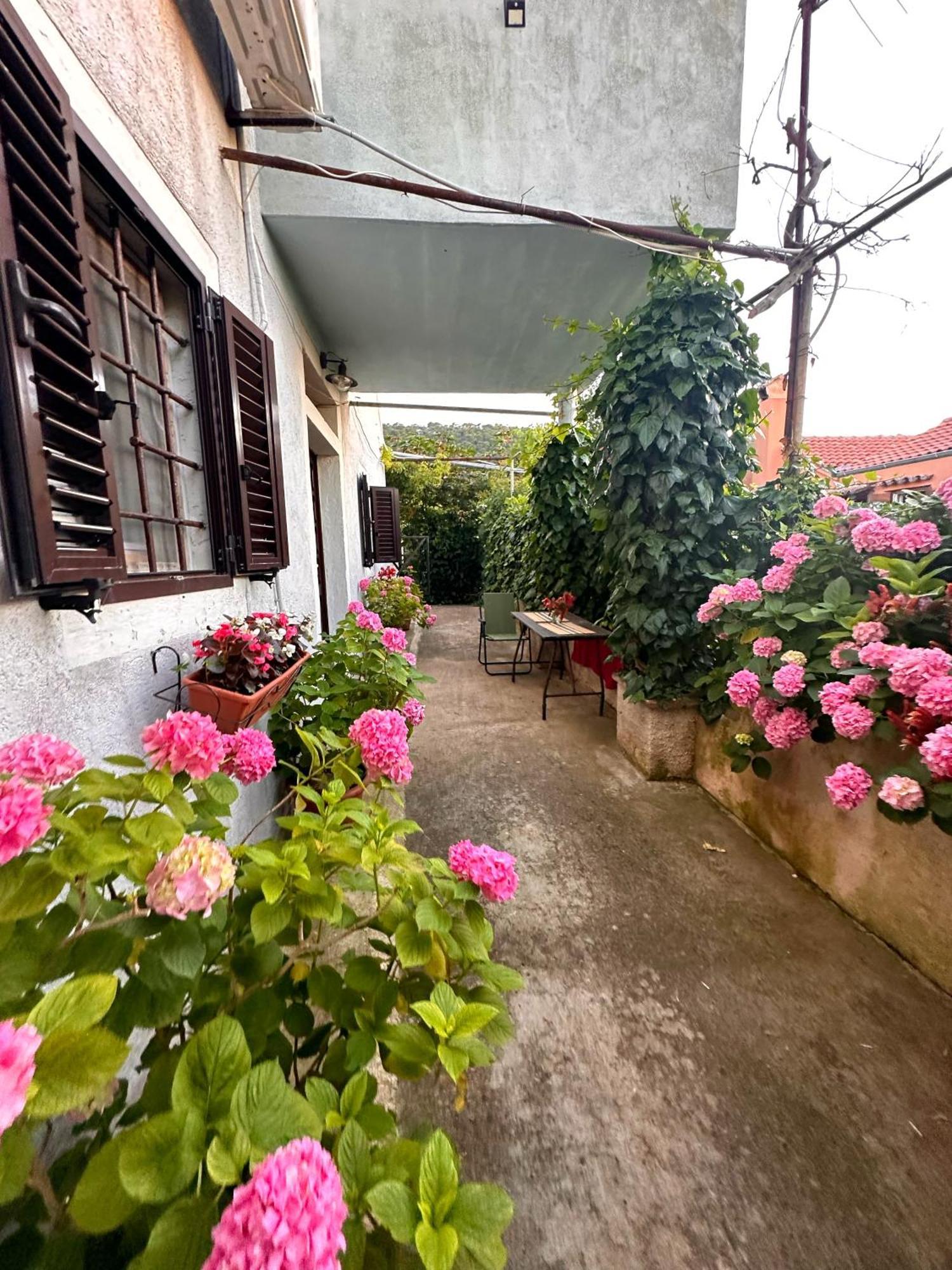 Apartment Renata Veli Lošinj